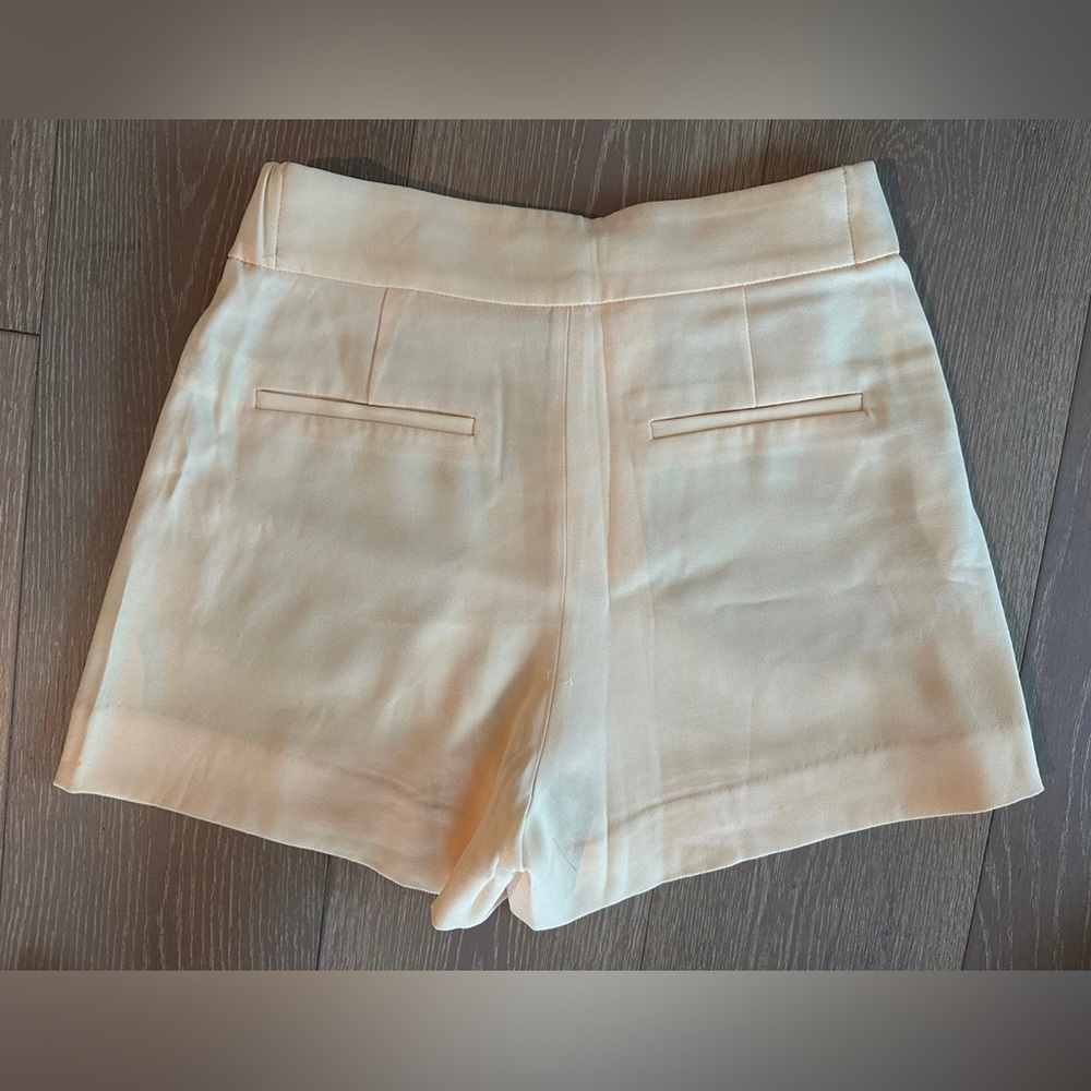 Aritzia skort
